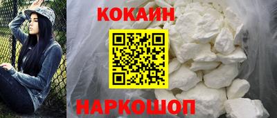 гидра Заводоуковск