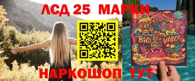 ПСИЛОЦИБИНОВЫЕ ГРИБЫ Заволжье