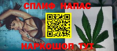 гидра Заводоуковск