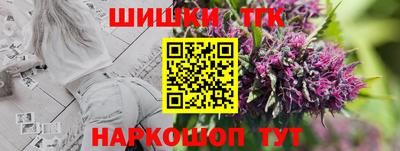 гидра Заводоуковск