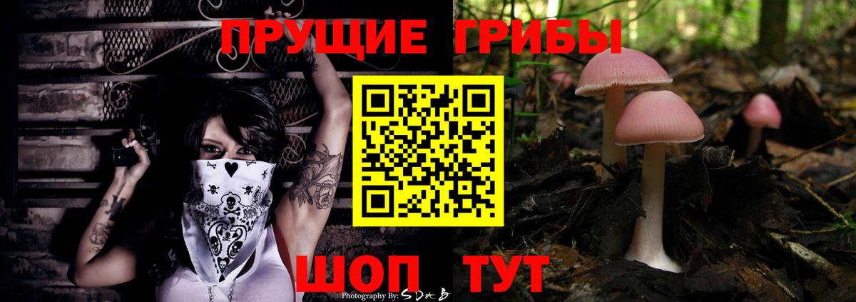 Галлюциногенные грибы прущие грибы  Вход с VPN  Надым 